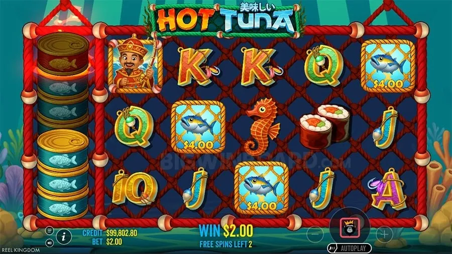 Wide Range of Eligible Games